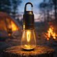 Fast-Charging Portable LED Bulb Light